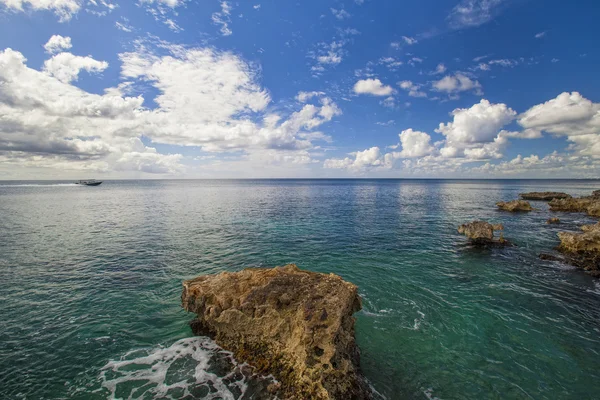 Arrecife del Caribe —  Fotos de Stock