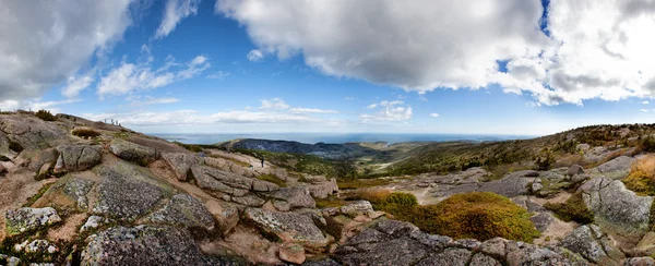 Cadillac mountain w acadia national park w maine — Zdjęcie stockowe