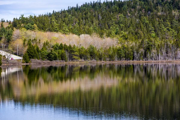 Acadia National Park. Maine. — Stock fotografie