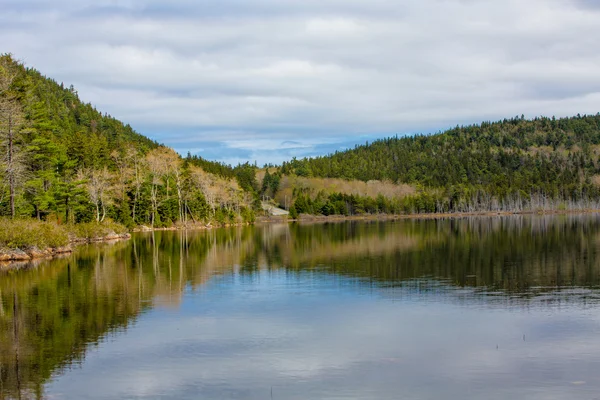 Parco nazionale dell'Acadia. Maine . — Foto Stock