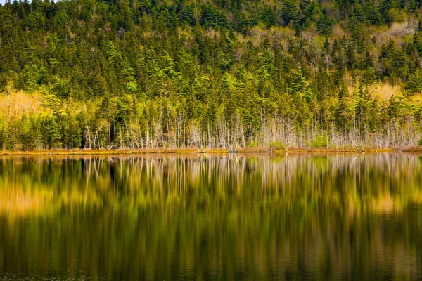 Национальный парк Акадия. Мэн . — стоковое фото