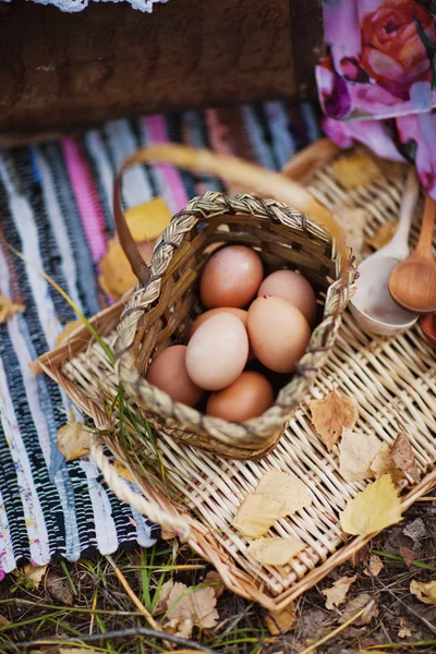 Eier — Stockfoto