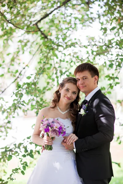 Pareja de boda — Foto de Stock