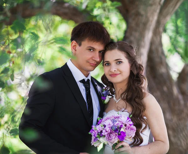 Para ślub — Zdjęcie stockowe