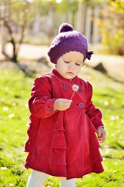 Babymeisje met paardebloem — Stockfoto