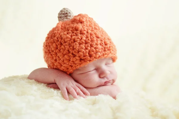 新生児のカボチャ — ストック写真