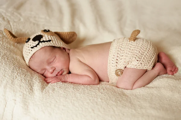 Caballero recién nacido — Foto de Stock