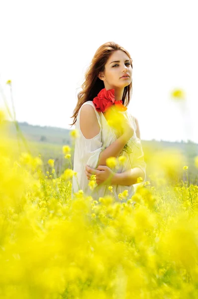 Dans le champ de raps de fleur — Photo