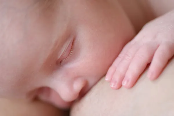 ALIMENTACIÓN DE LA MAMA — Foto de Stock