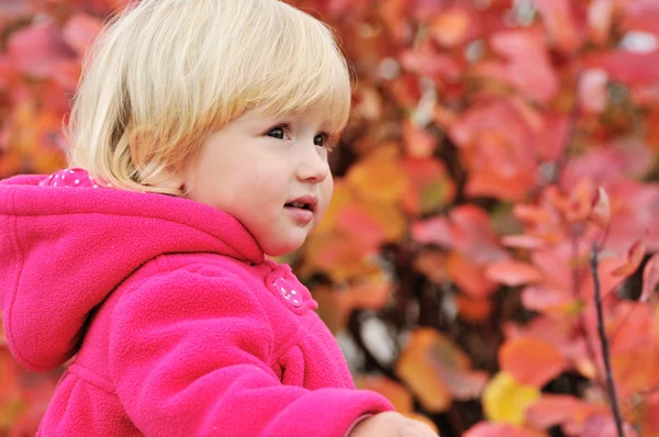 Sweet toddler girl — Stock Photo, Image