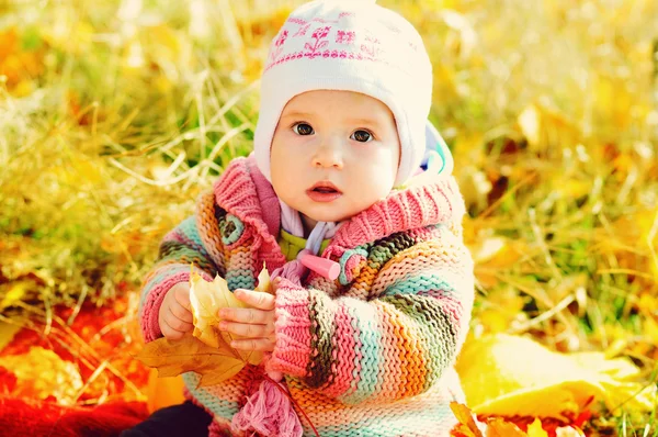 Meisje van de baby in de herfst — Stockfoto