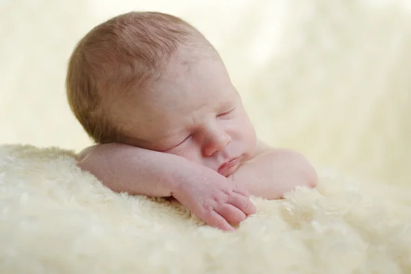 Twee weken oud pasgeboren — Stockfoto