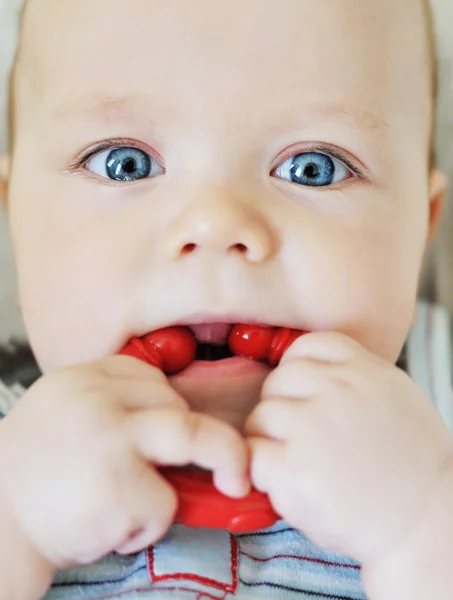 Bambino mordere un giocattolo — Foto Stock