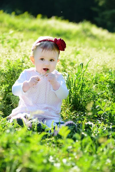 Çayır on — Stok fotoğraf