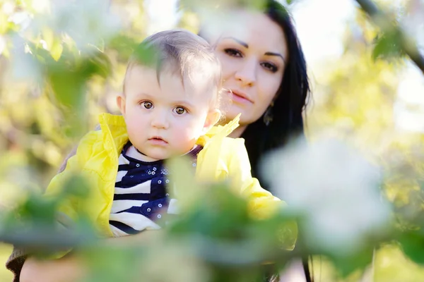 In the blossom garden — Stock Photo, Image