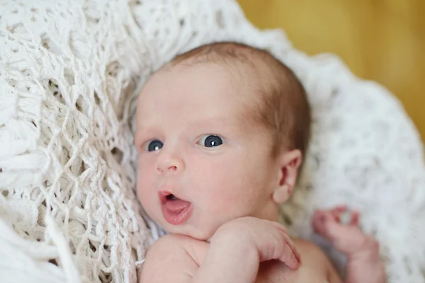 Funny newborn — Stock Photo, Image