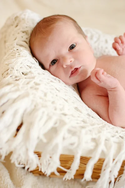 Novorozenec — Stock fotografie