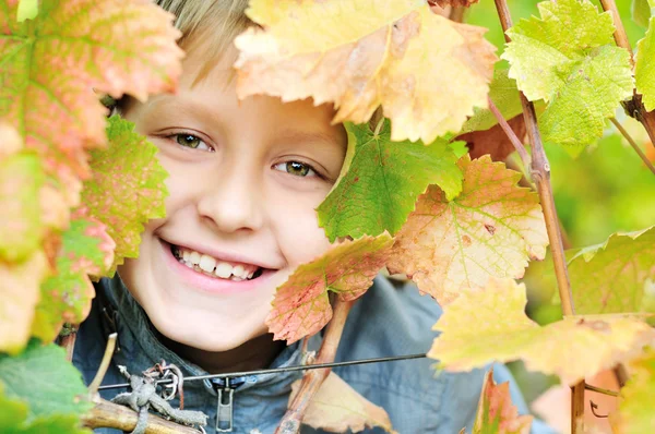 Fall portrait — Stock Photo, Image