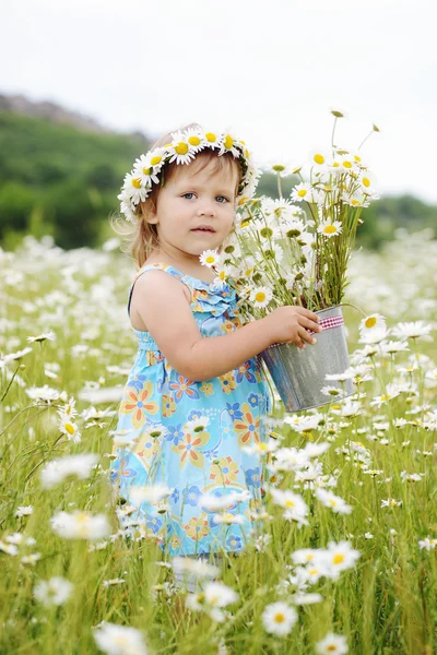 Daisy peuter — Stockfoto