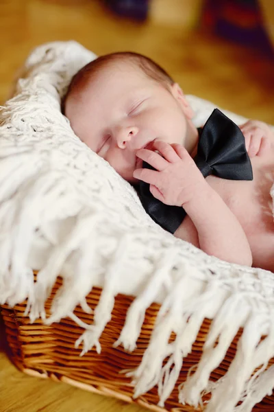 Newborn boy wearing bow tie — Stock Photo, Image