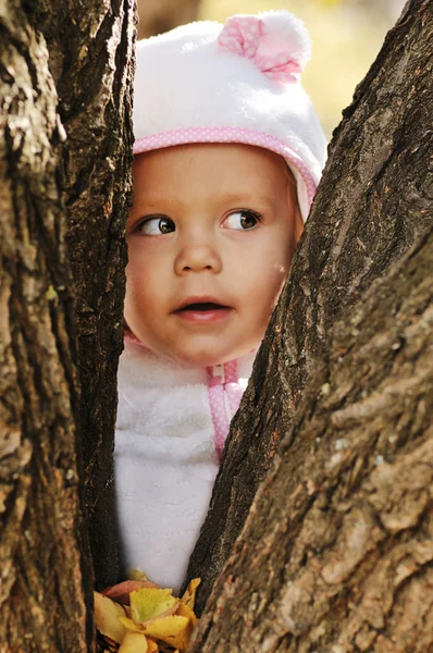 Peek-a-boo — Stockfoto