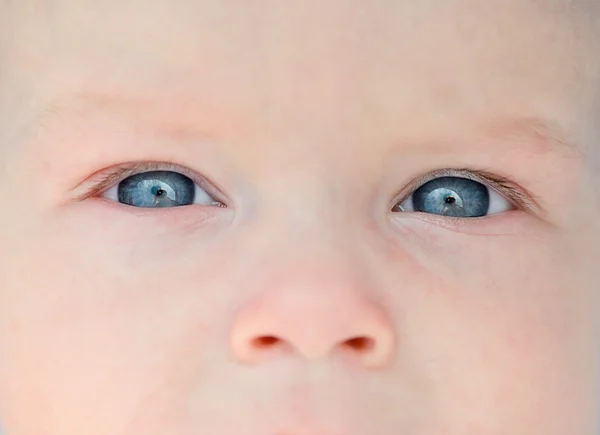 Olhos e nariz recém-nascidos — Fotografia de Stock