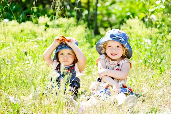 In hoog gras — Stockfoto