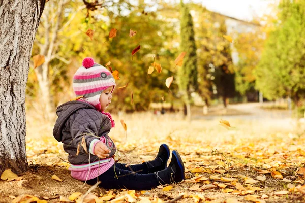 I höst park — Stockfoto