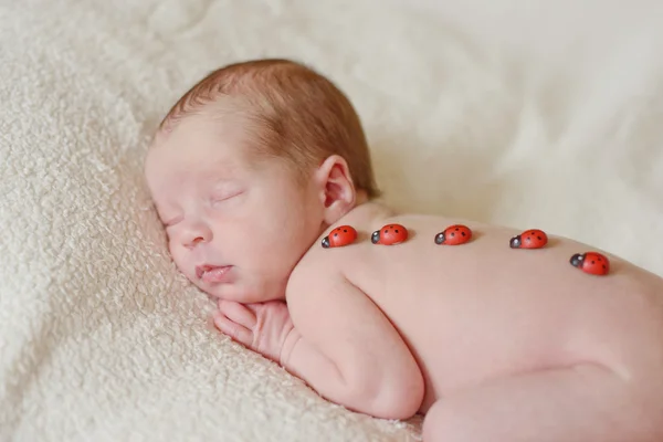 Recém-nascido doce e macio — Fotografia de Stock