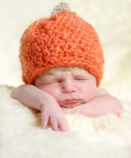 Pumpkin — Stock Photo, Image