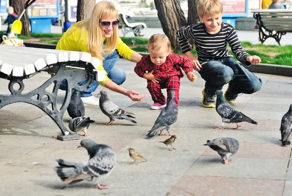 Rodina krmení holubů — Stock fotografie