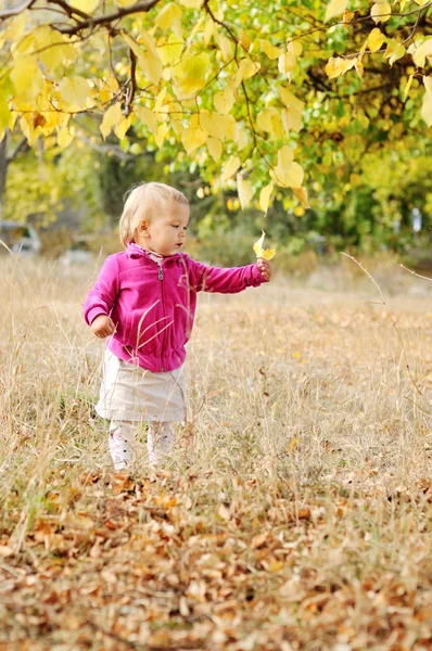 Baby in fall — Stock Photo, Image