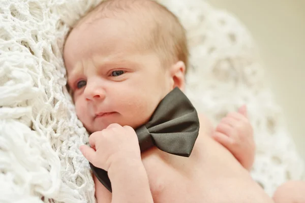 Funny newborn gentleman — Stock Photo, Image