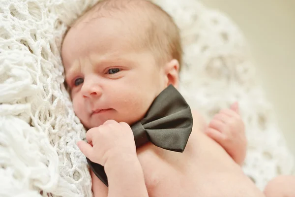 Funny newborn gentleman Royalty Free Stock Images