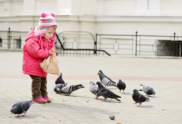 güvercin besleme toddler