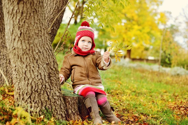 Batole dívka v podzimním parku — Stock fotografie