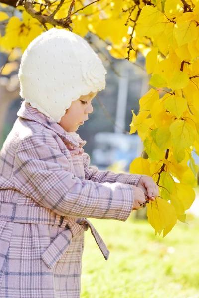 Toddler dziewczynka w pobliżu drzewo jesień — Zdjęcie stockowe