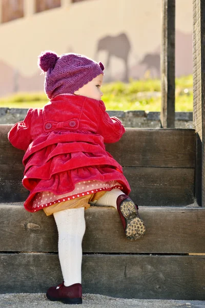 Baby op de wandeling — Stockfoto