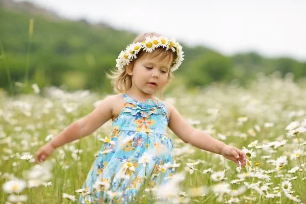 Fille dans le champ de marguerite — Photo