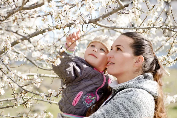 Primavera — Fotografia de Stock