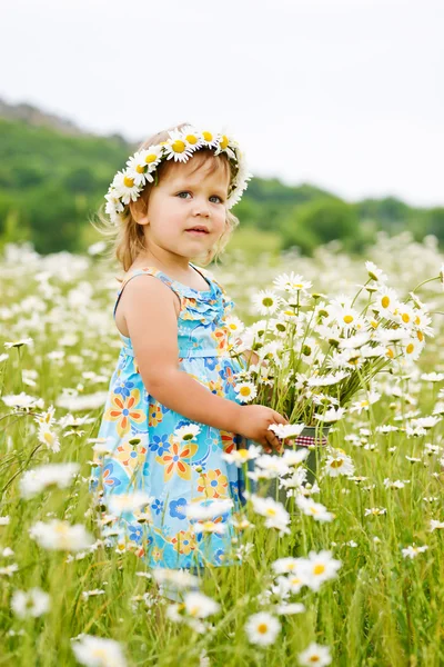 Girl in field — Stock Photo, Image