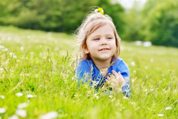 Girl   on the meadow Stock Picture