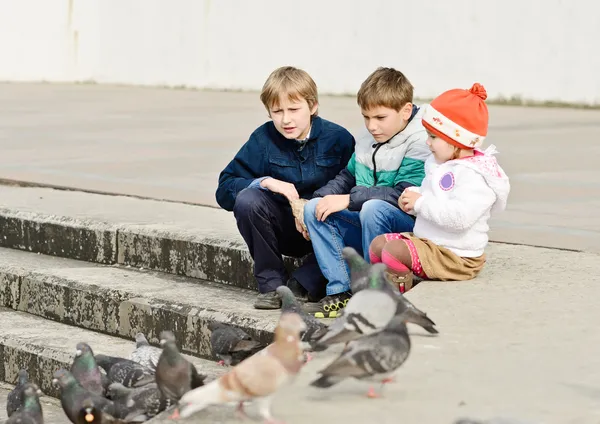 A gyermekek és a galambok — Stock Fotó