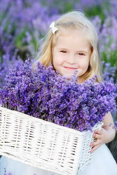 Menina com lavanda — Fotografia de Stock