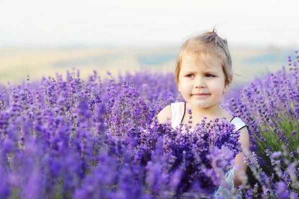 Criança no campo de lavanda — Fotografia de Stock