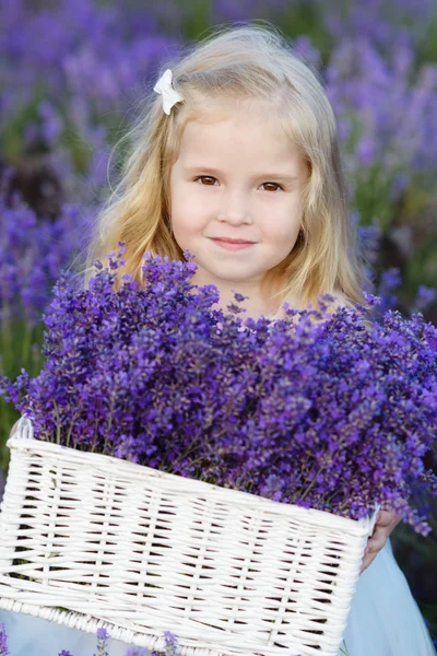 Girl  in lavender field — Stock Photo, Image