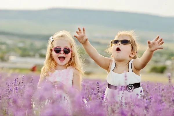 Funny friends — Stock Photo, Image