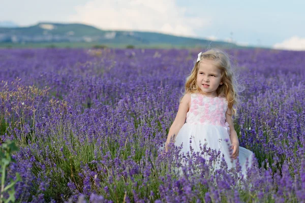 Toddler girl   in lavender field — Stock Photo, Image