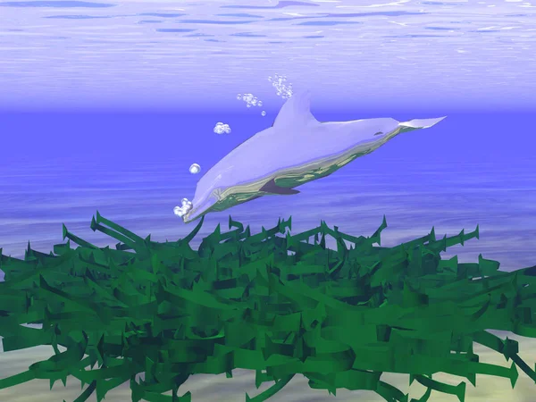 3D图例 对水下灌木丛感兴趣的神秘海豚 — 图库照片