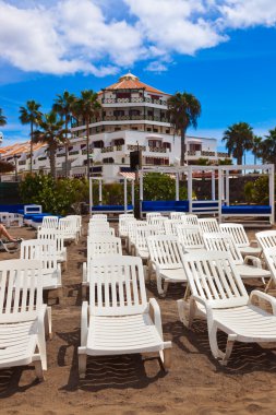 Tenerife adasındaki sahil - Kanarya